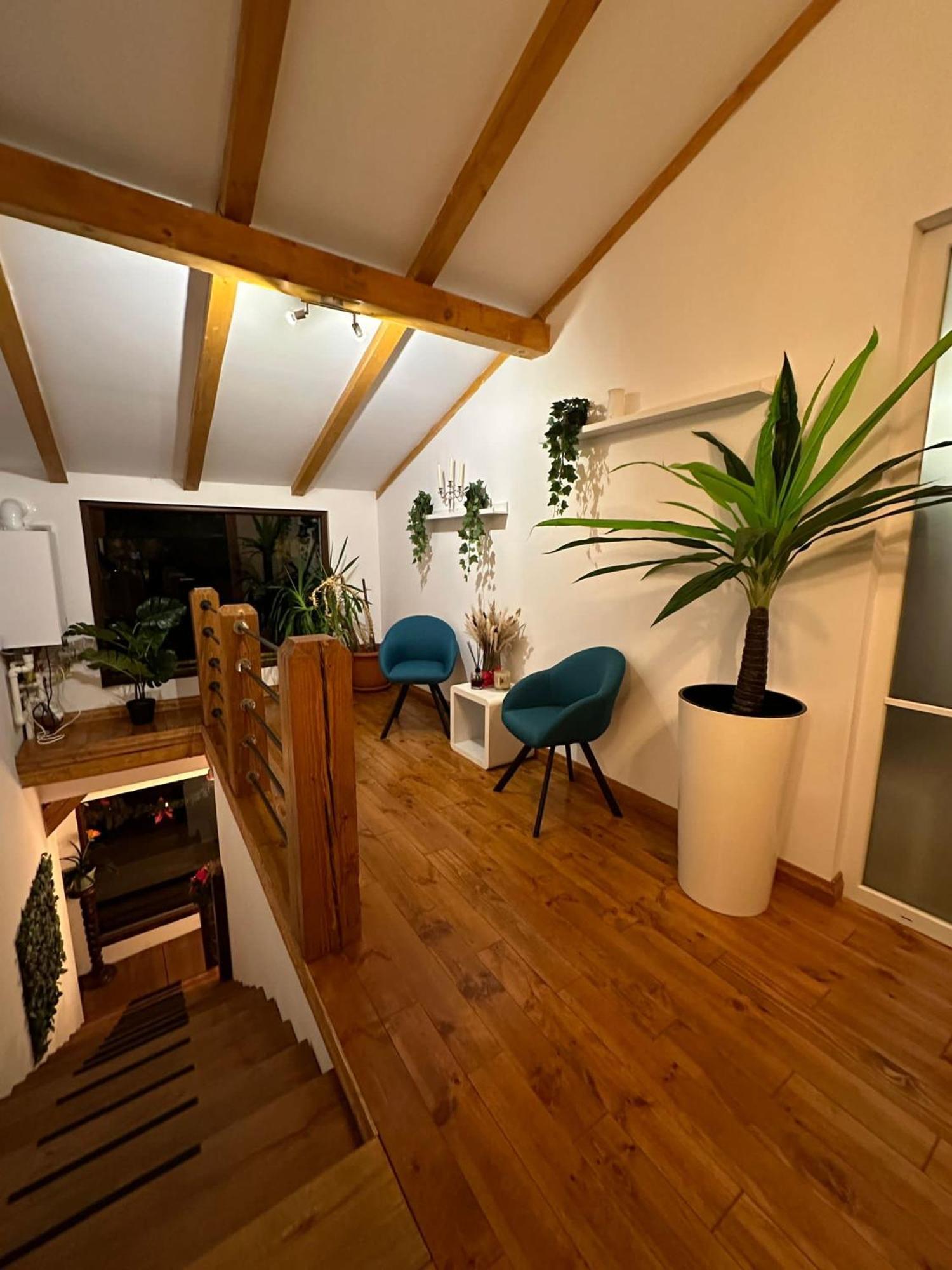 Attic 33 Daire Câmpulung Moldovenesc Dış mekan fotoğraf